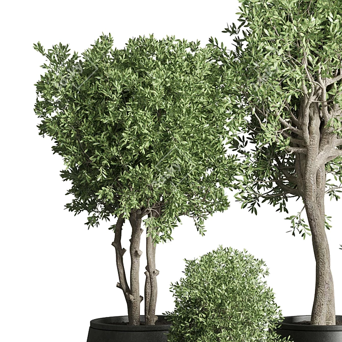 Concrete Tree Pots: Collection-Ready for Indoor/Outdoor 3D model image 2