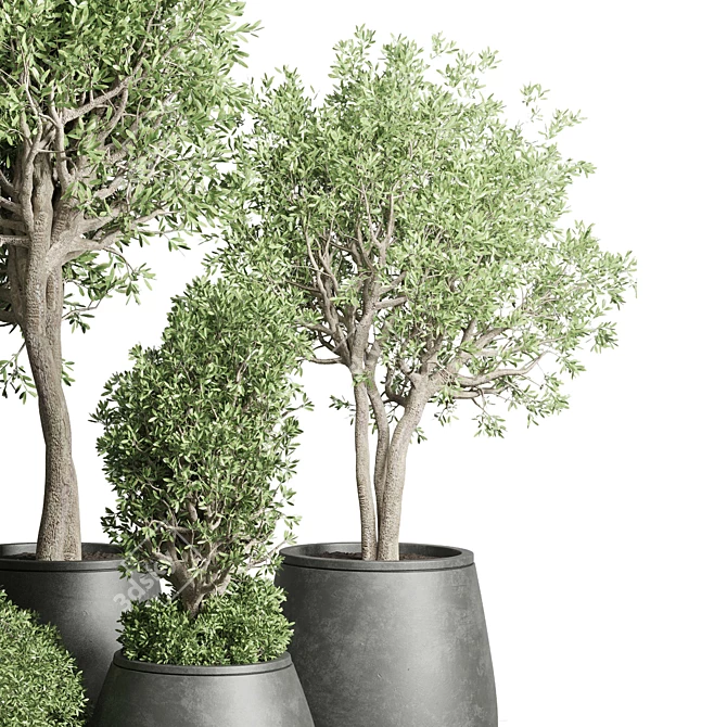 Concrete Tree Pots: Collection-Ready for Indoor/Outdoor 3D model image 4