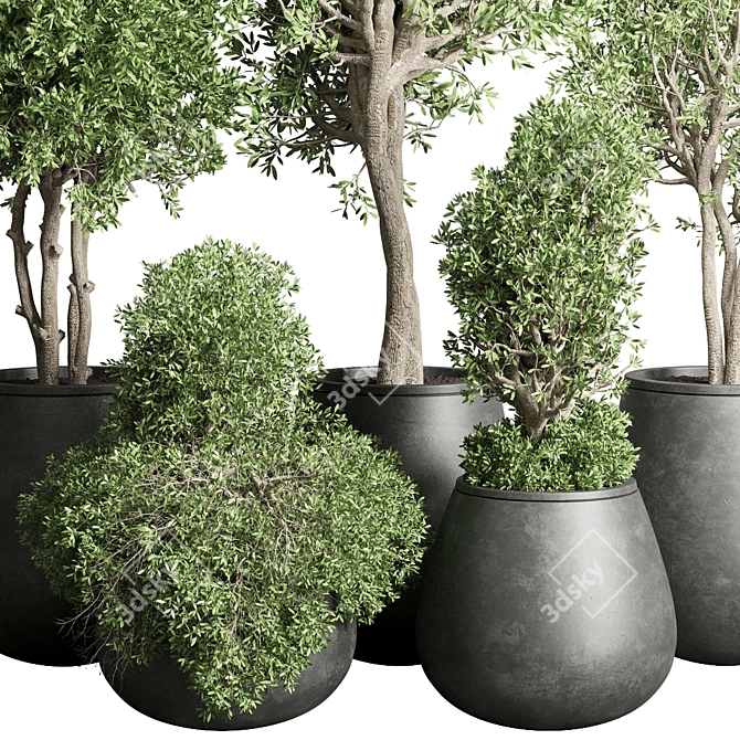 Concrete Tree Pots: Collection-Ready for Indoor/Outdoor 3D model image 5