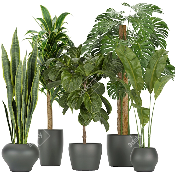 286 Indoor Leaf Collection: High-Quality, Lightweight Plants 3D model image 1