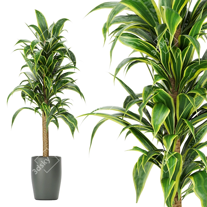 286 Indoor Leaf Collection: High-Quality, Lightweight Plants 3D model image 3