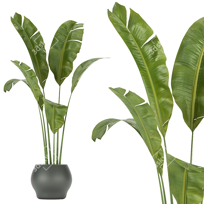 286 Indoor Leaf Collection: High-Quality, Lightweight Plants 3D model image 5