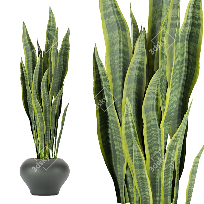 286 Indoor Leaf Collection: High-Quality, Lightweight Plants 3D model image 6