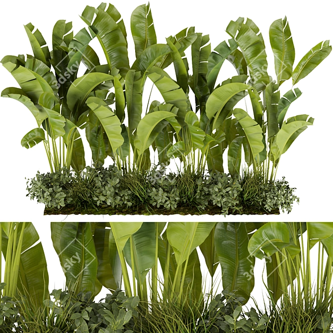 Banana Leaf Indoor Plant Collection (Vol. 289) 3D model image 1