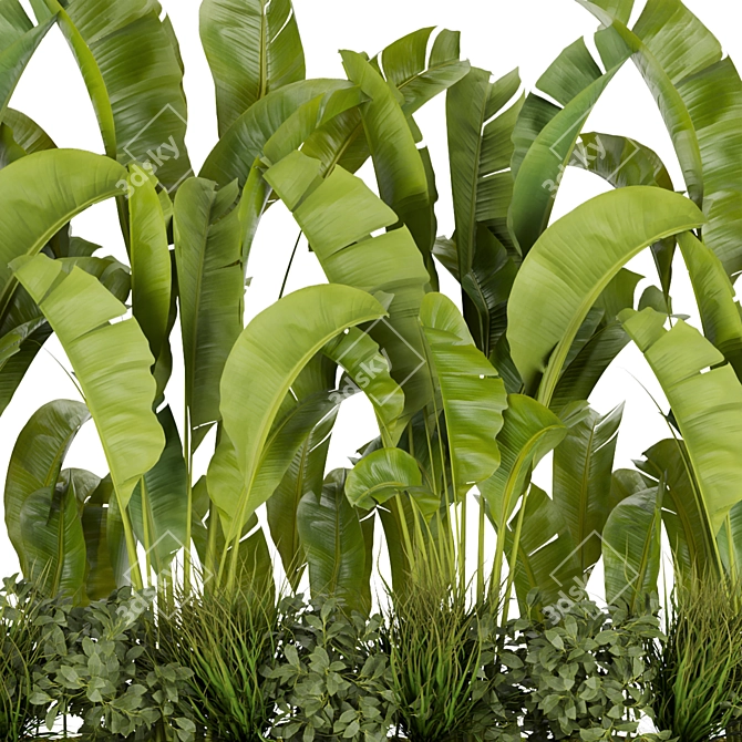 Banana Leaf Indoor Plant Collection (Vol. 289) 3D model image 3