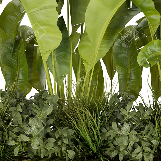 Banana Leaf Indoor Plant Collection (Vol. 289) 3D model image 4