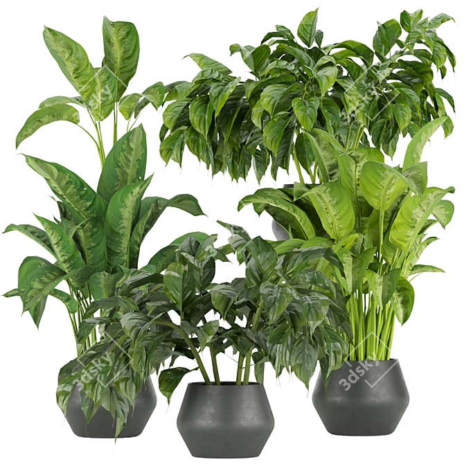 Greenery Delight: Indoor Aglaonema Leaf Collection 3D model image 1