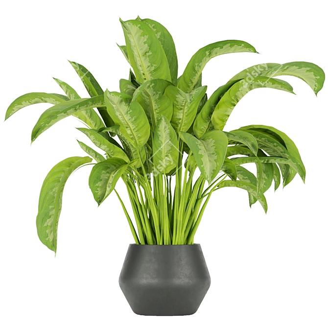Greenery Delight: Indoor Aglaonema Leaf Collection 3D model image 2