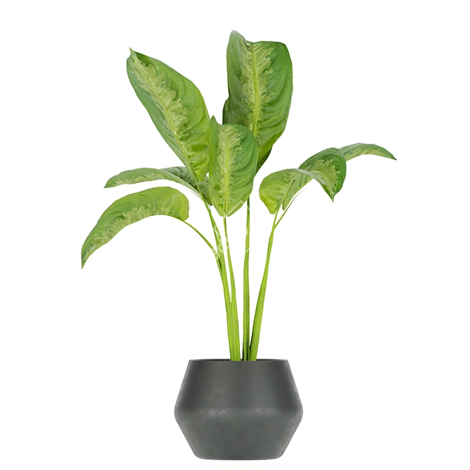 Greenery Delight: Indoor Aglaonema Leaf Collection 3D model image 6