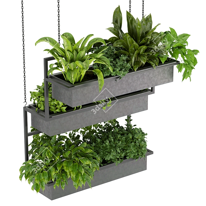 Hanging Indoor Ampelous Plant - Collection Vol. 295 3D model image 2