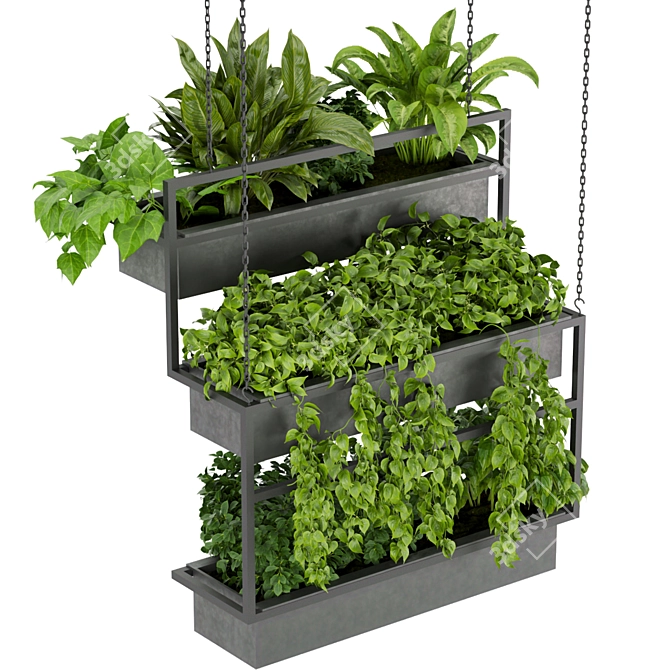 Hanging Indoor Ampelous Plant - Collection Vol. 295 3D model image 3