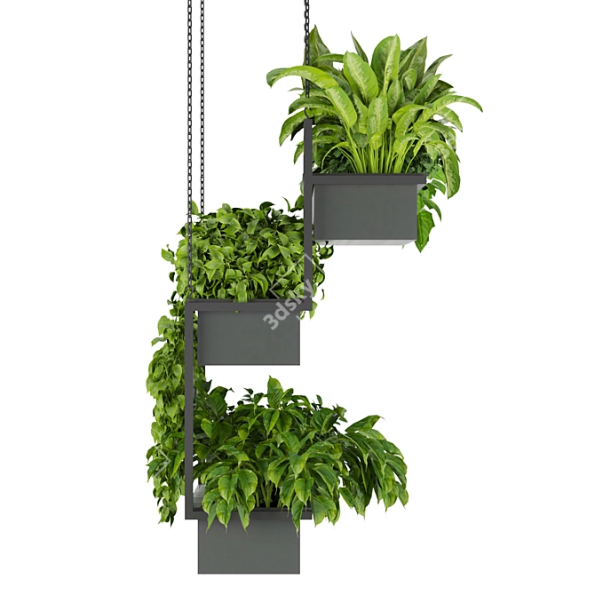 Hanging Indoor Ampelous Plant - Collection Vol. 295 3D model image 5