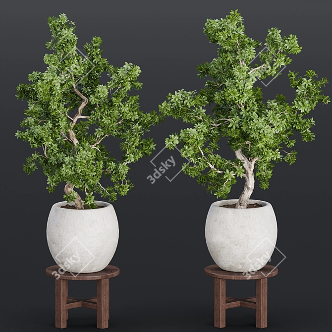 Indoor Greenery Collection Vol. 63 3D model image 1