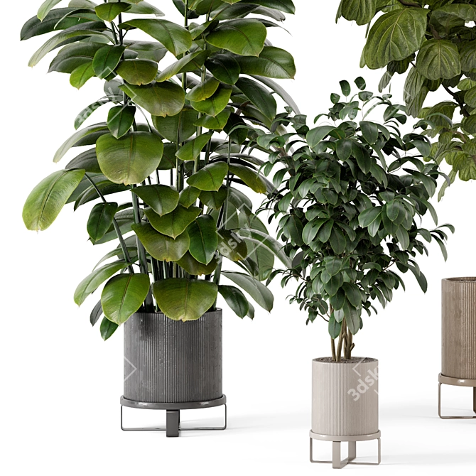 Ferm Living Bau Pot Large - Set 422: Stylish Indoor Plants 3D model image 4