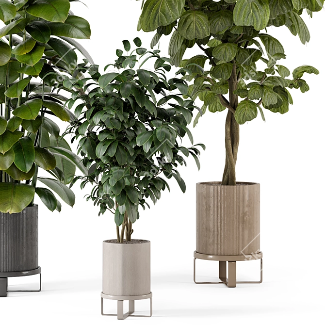 Ferm Living Bau Pot Large - Set 422: Stylish Indoor Plants 3D model image 5