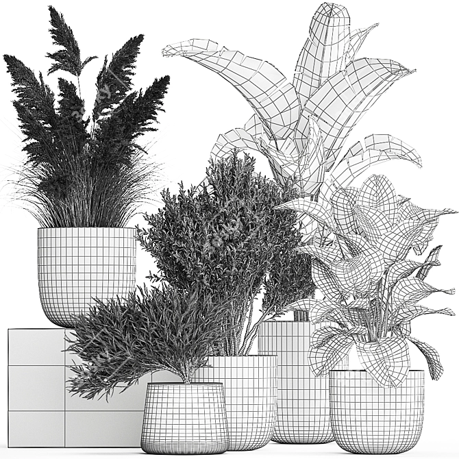 Exotic Plant Collection: Decorative Indoor & Outdoor Plants in Concrete Pots 3D model image 7