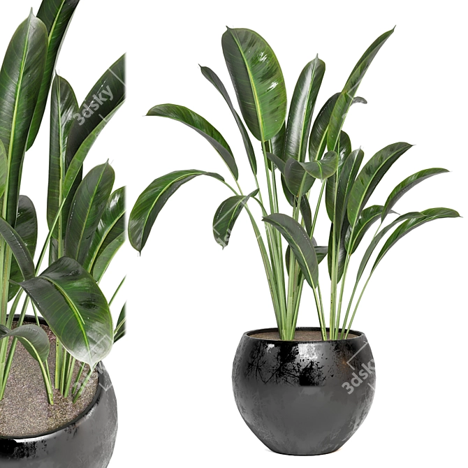 Green Oasis - Indoor Plants Set 3D model image 1