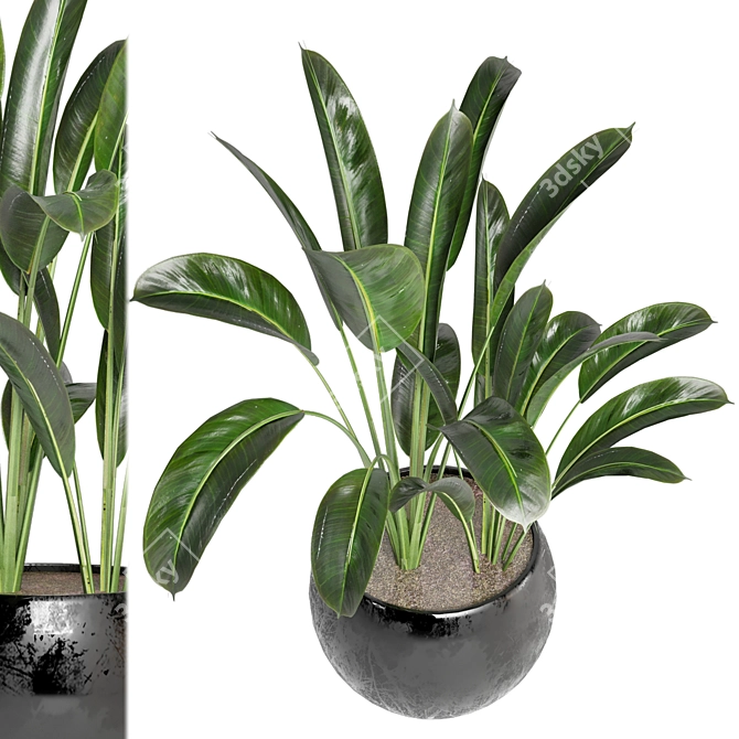 Green Oasis - Indoor Plants Set 3D model image 2
