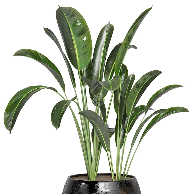 Green Oasis - Indoor Plants Set 3D model image 3