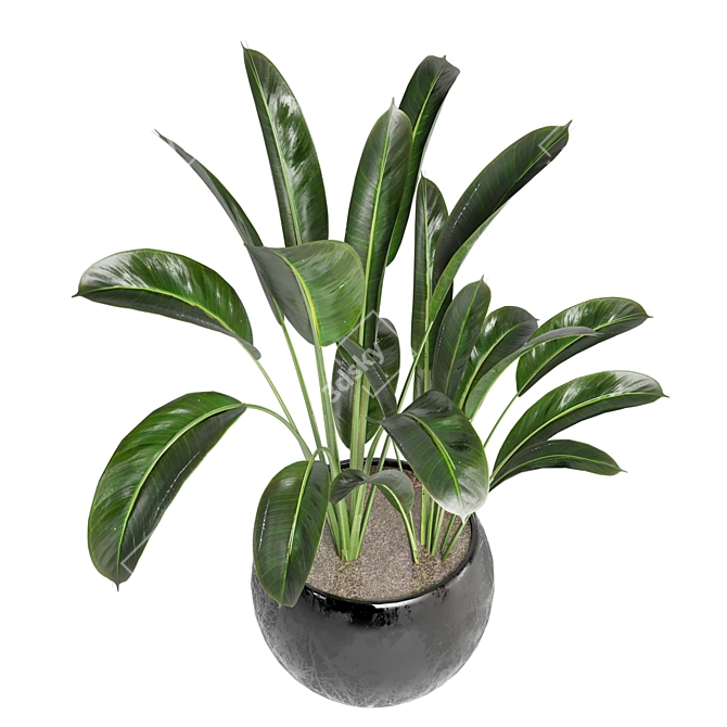 Green Oasis - Indoor Plants Set 3D model image 4