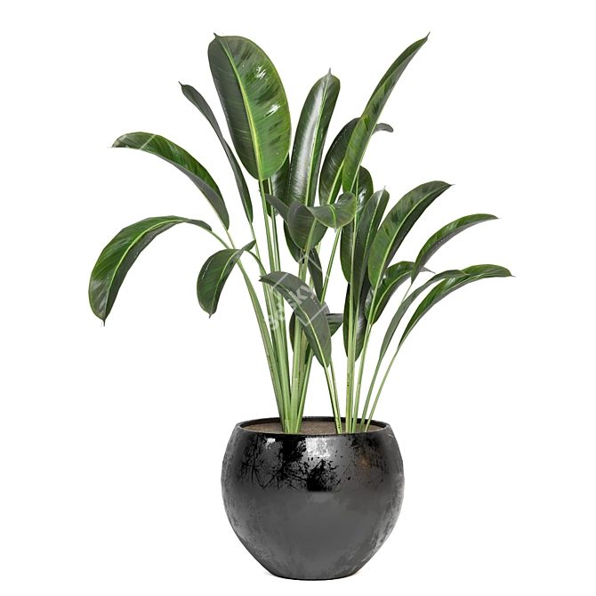 Green Oasis - Indoor Plants Set 3D model image 5