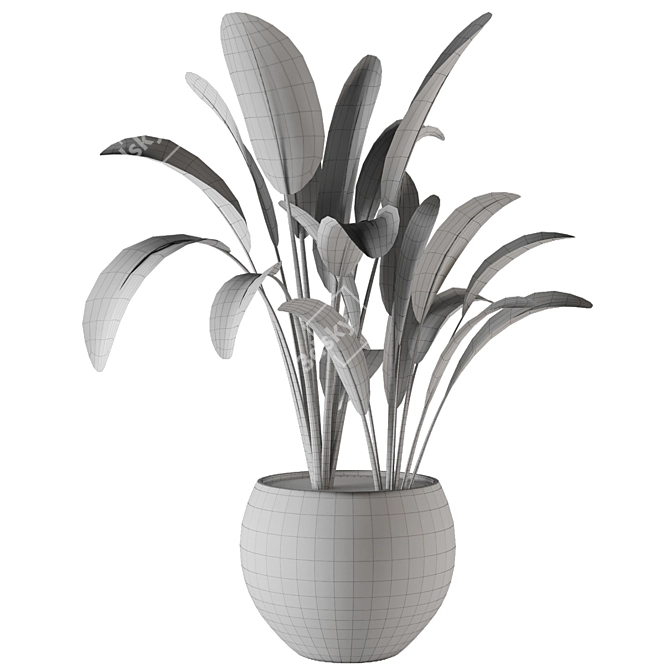 Green Oasis - Indoor Plants Set 3D model image 6