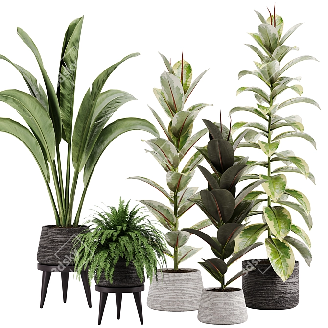 Green Oasis Indoor Plant Set 3D model image 1