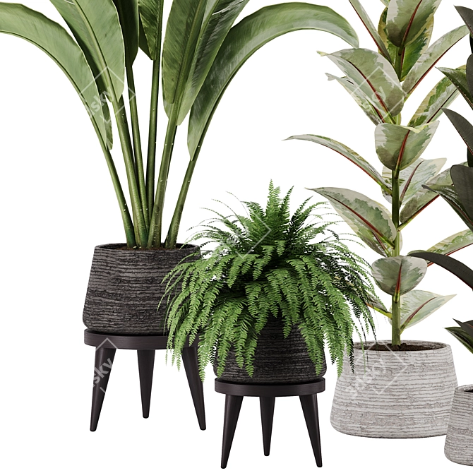 Green Oasis Indoor Plant Set 3D model image 2