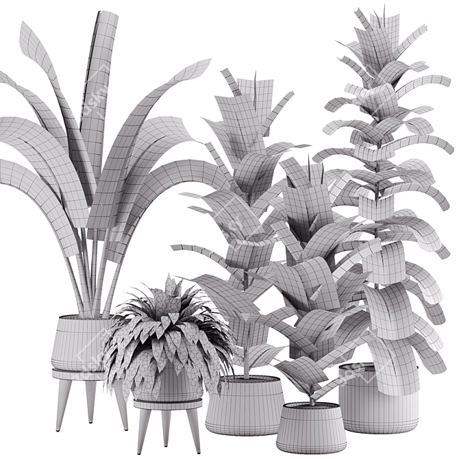 Green Oasis Indoor Plant Set 3D model image 7