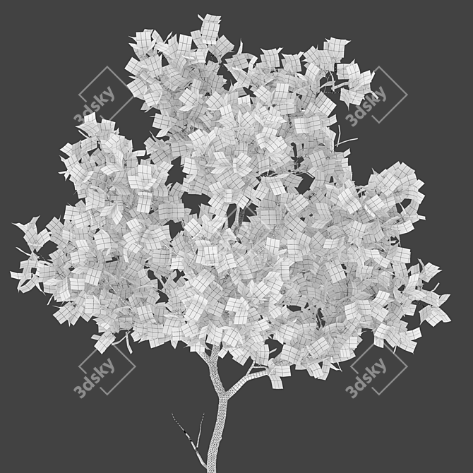 3m Young Oak Trees - Set of 3 3D model image 6