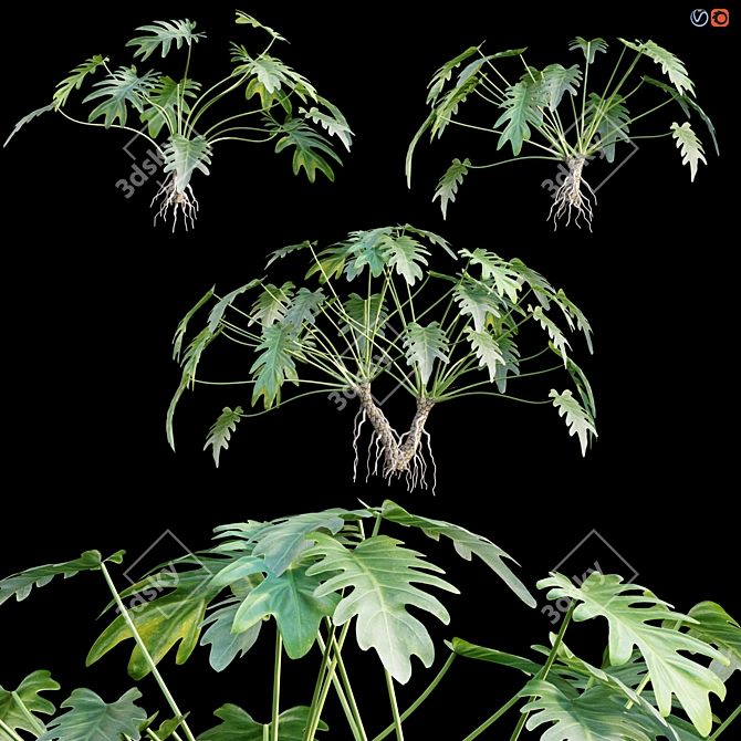 Title: Tropical Vibes: Philodendron Xanadu 3D model image 1