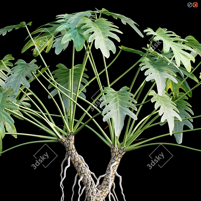 Title: Tropical Vibes: Philodendron Xanadu 3D model image 2