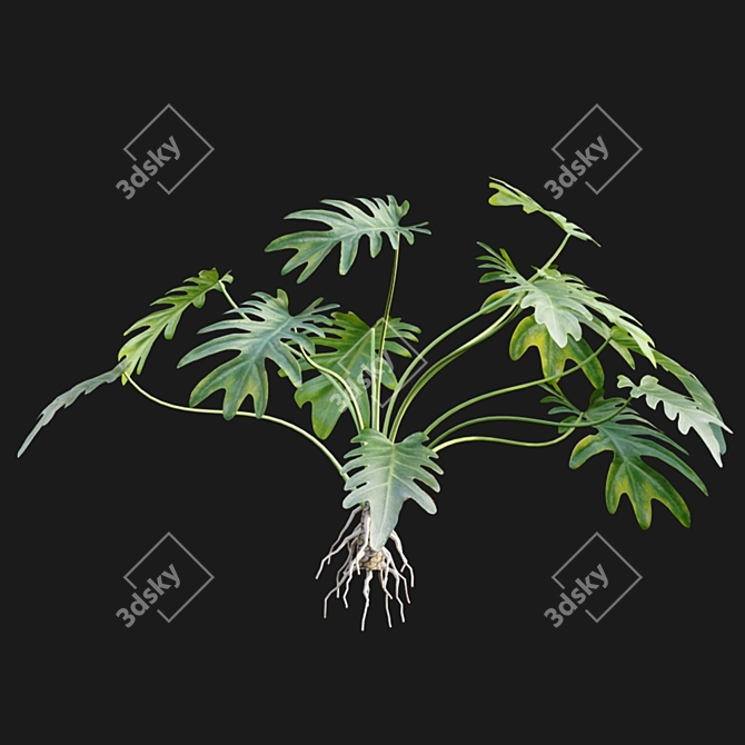 Title: Tropical Vibes: Philodendron Xanadu 3D model image 4