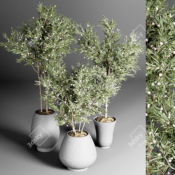 Indoor Plant Collection: 24 Exquisite Varieties 3D model image 2