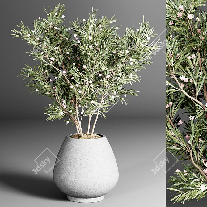 Indoor Plant Collection: 24 Exquisite Varieties 3D model image 3