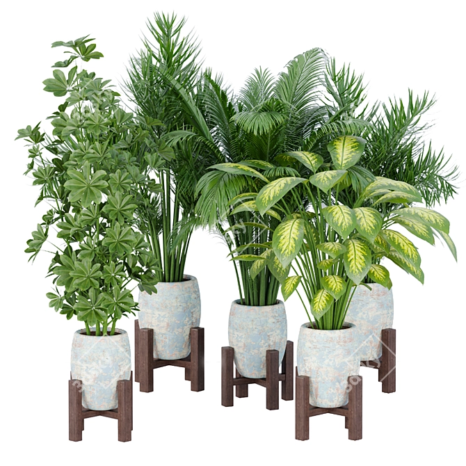 Elegant Indoor Plant Collection 3D model image 1