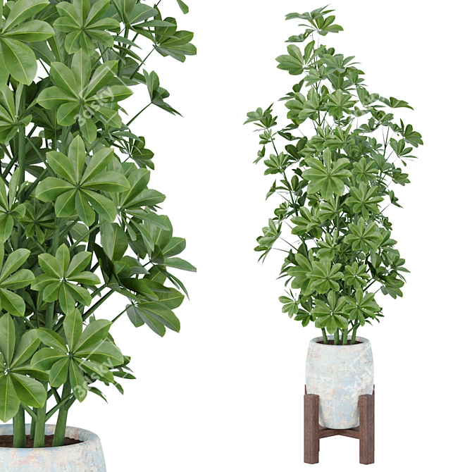 Elegant Indoor Plant Collection 3D model image 2