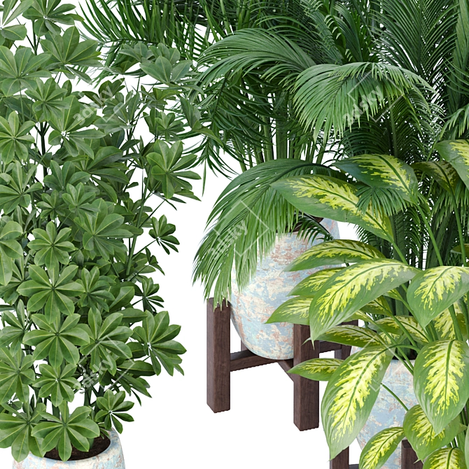 Elegant Indoor Plant Collection 3D model image 3