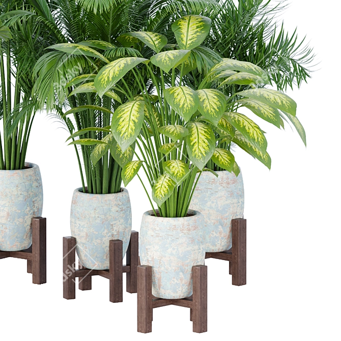 Elegant Indoor Plant Collection 3D model image 6