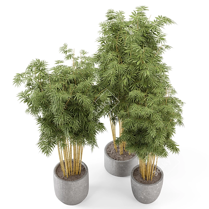 Rustic Concrete Pot Bamboo Set 3D model image 5