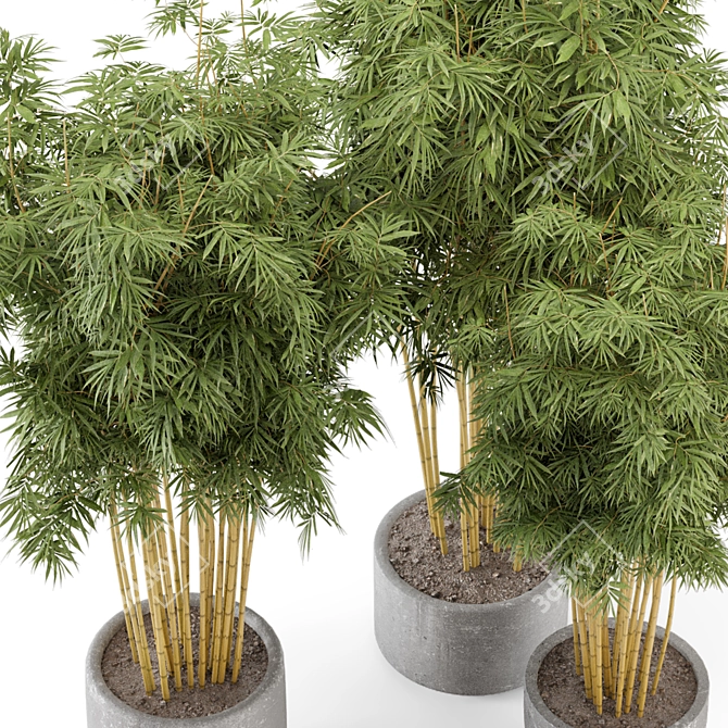 Rustic Concrete Pot Bamboo Set 3D model image 6