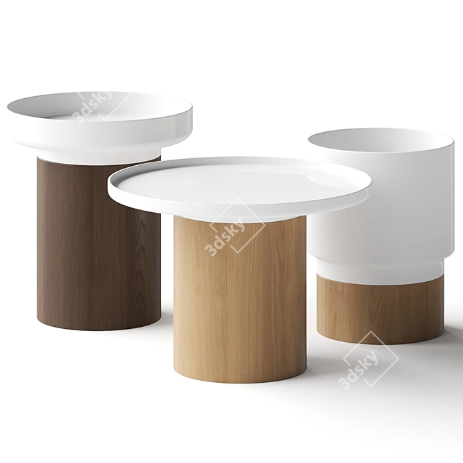 Elegant Apu Coffee Tables 3D model image 1