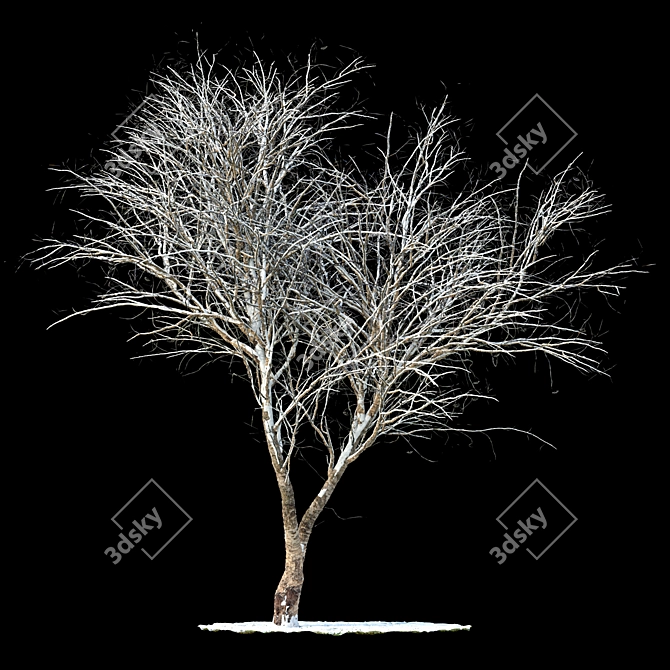 Snow-Covered Rowan Tree Sculpture 3D model image 1