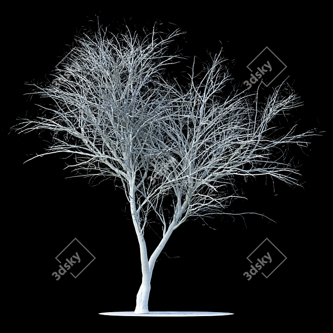 Snow-Covered Rowan Tree Sculpture 3D model image 2