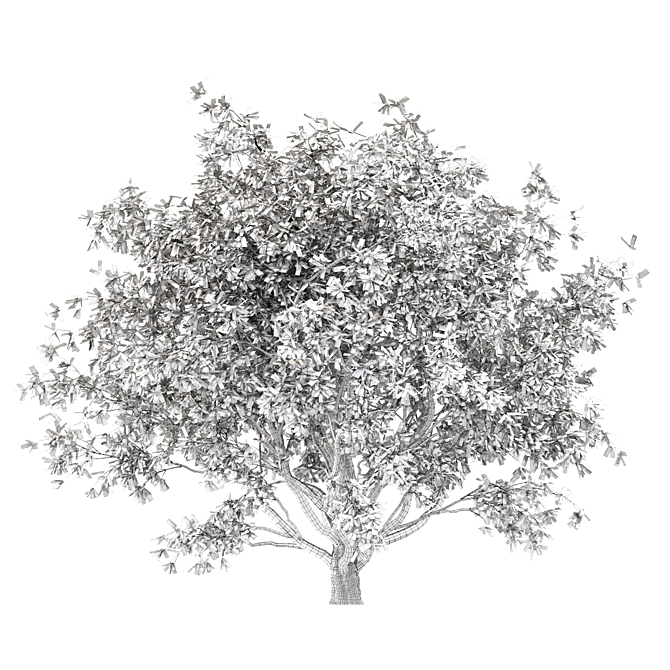 Mediterranean Olive Tree (Corona & Vray) 3D model image 4