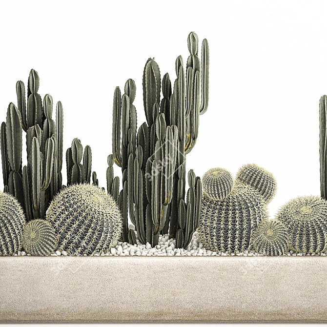 Exotic Cacti Collection 3D model image 4