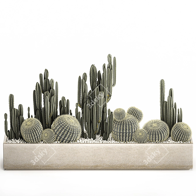 Exotic Cacti Collection 3D model image 6