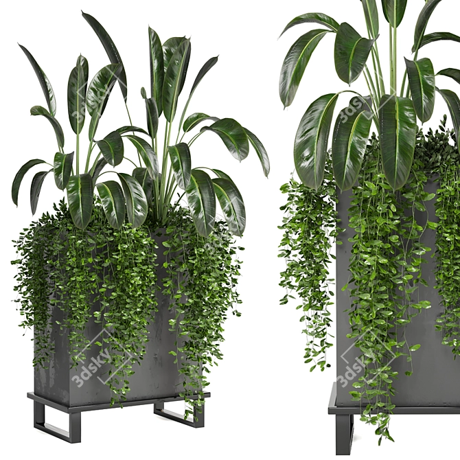 Indoor Plants Collection - Set 193: 3D Max, V-Ray/Corona Render 3D model image 1