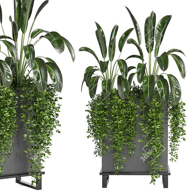 Indoor Plants Collection - Set 193: 3D Max, V-Ray/Corona Render 3D model image 3