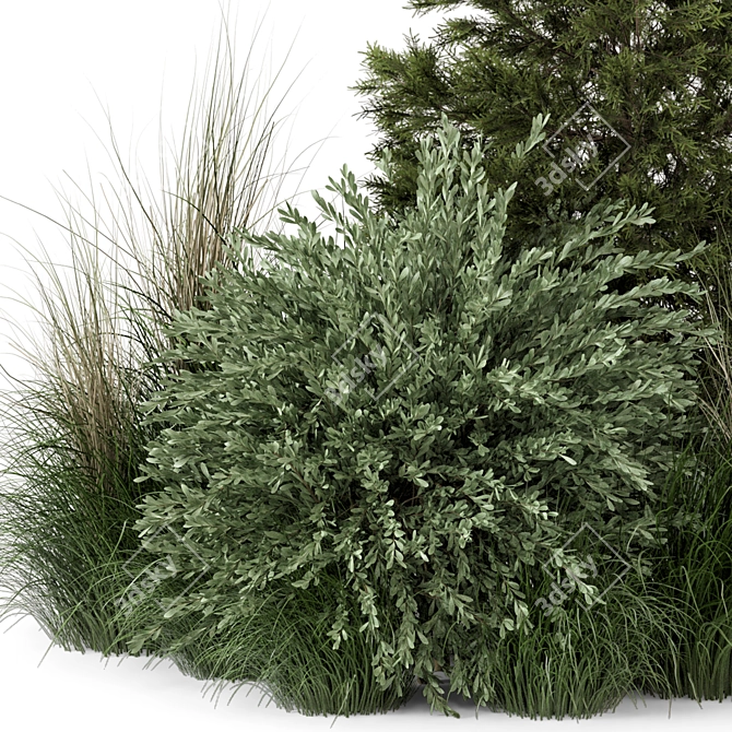 2015 Outdoor Plants Bush Set 3D model image 2